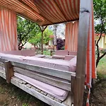 Oblomov * Çıralı