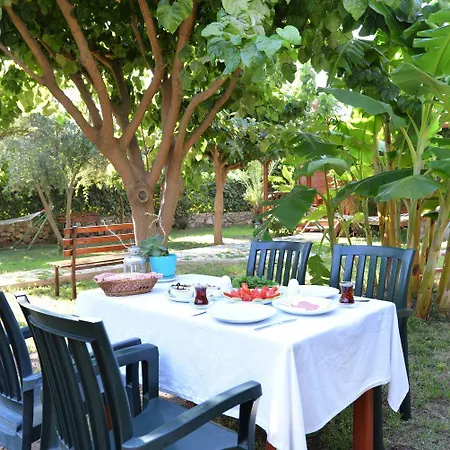 Hotel Oblomov