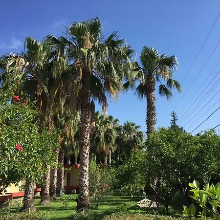 Oblomov Homestay