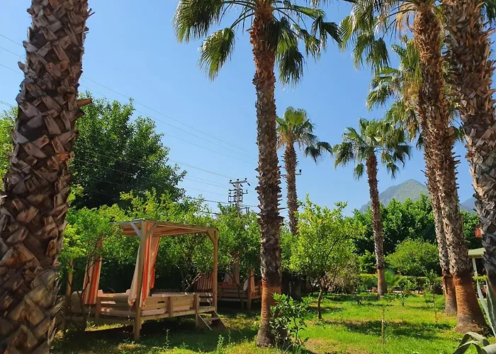 Hotel Oblomov Çıralı